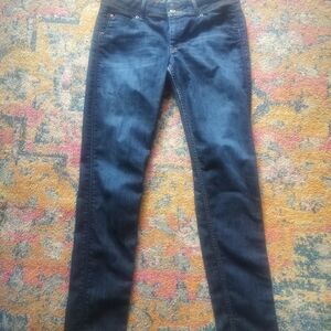 Hudson Jeans Dark Blue Straight Leg Women's Jeans